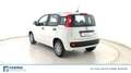 Fiat Panda 1.0 FireFly Hybrid Bianco - thumbnail 5