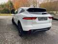Jaguar E-Pace E-Pace D150 AWD LED*NAVI*LEDER*2020BWJ* Blanc - thumbnail 7