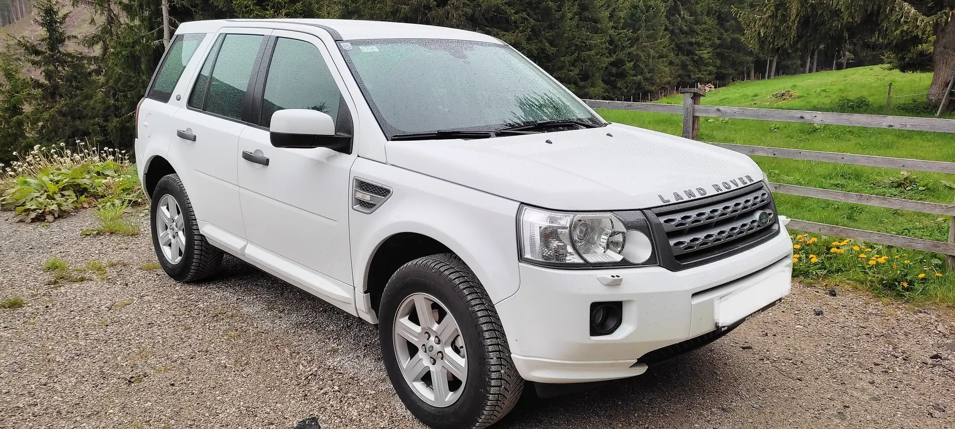 Land Rover Freelander Freelander 2 Td4 Weiß - 1