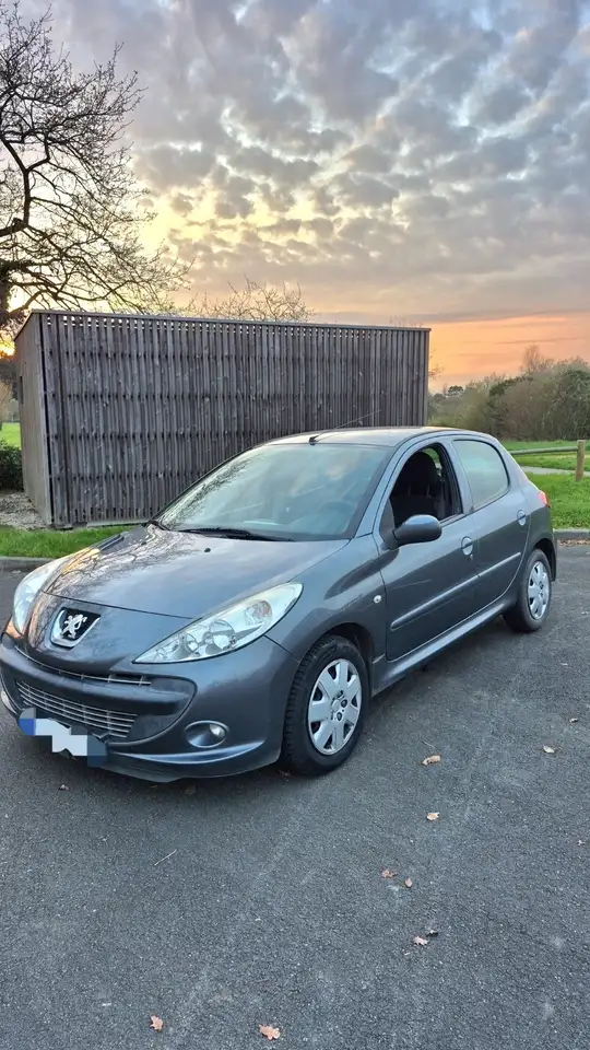 Peugeot 206 1.4 HDi 70ch FAP BLUE LION Trendy