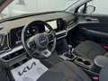 Kia Sportage Sportage 1.6 CRDi MHEV Business Verde - thumbnail 10