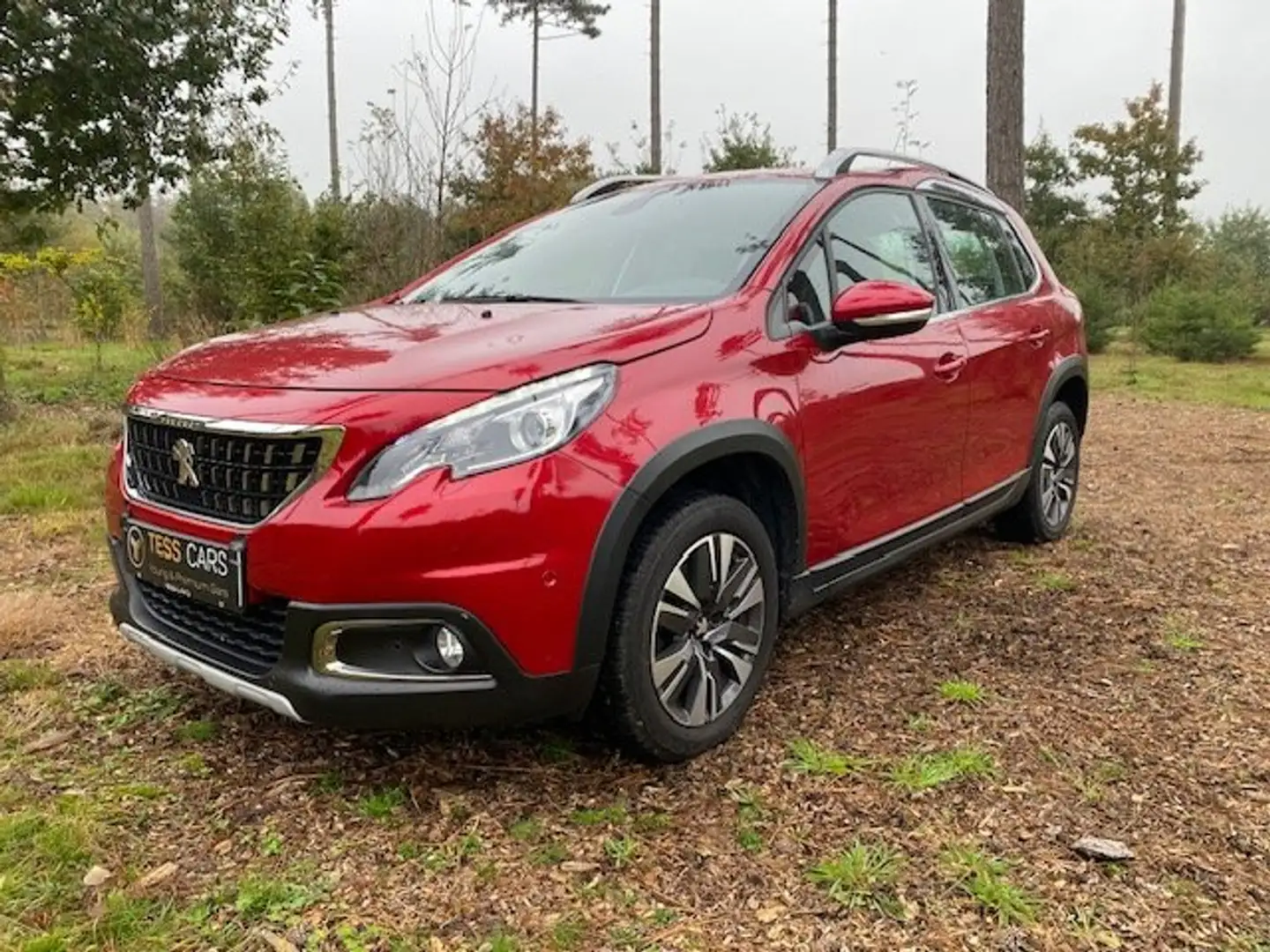 Peugeot 2008 LED,Navi,Verwarmde zetels V,16"Parkeersensoren V+A Rouge - 1