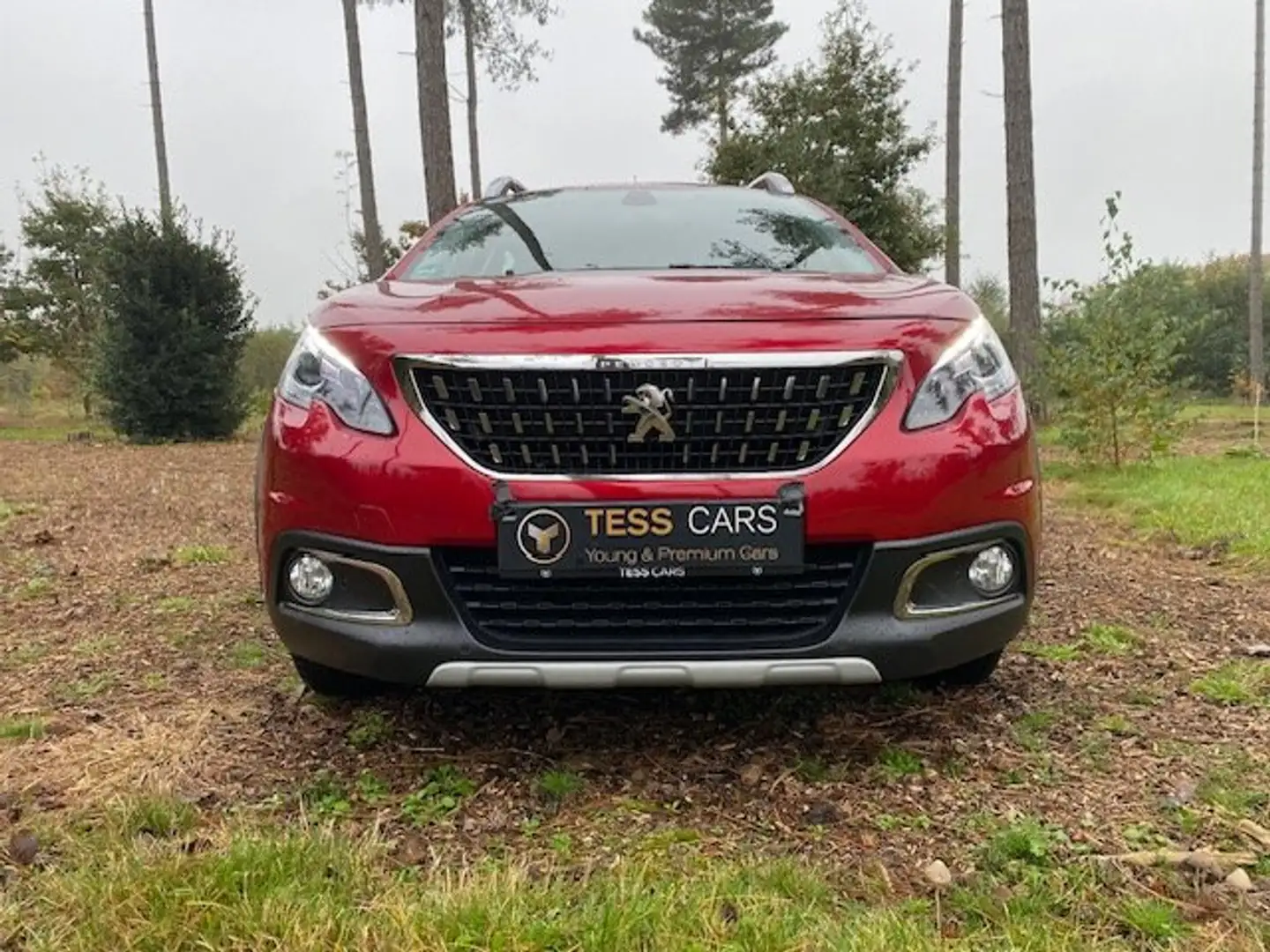 Peugeot 2008 LED,Navi,Verwarmde zetels V,16"Parkeersensoren V+A Rouge - 2