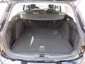Ford Focus Turnier Titanium DSG LED GJR Noir - thumbnail 6