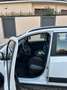 Fiat Panda 1.0 GSE Hybrid City Life - thumbnail 5