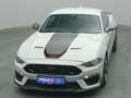 Ford Mustang Mach 1 V8 460PS Aut./Klimaaut./MagneRide Gris - thumbnail 49