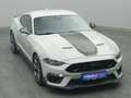 Ford Mustang Mach 1 V8 460PS Aut./Klimaaut./MagneRide Gris - thumbnail 37