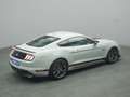 Ford Mustang Mach 1 V8 460PS Aut./Klimaaut./MagneRide Gris - thumbnail 22