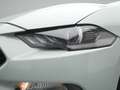 Ford Mustang Mach 1 V8 460PS Aut./Klimaaut./MagneRide Gris - thumbnail 29