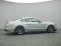 Ford Mustang Mach 1 V8 460PS Aut./Klimaaut./MagneRide Gris - thumbnail 45