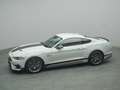 Ford Mustang Mach 1 V8 460PS Aut./Klimaaut./MagneRide Gris - thumbnail 40
