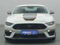 Ford Mustang Mach 1 V8 460PS Aut./Klimaaut./MagneRide Gris - thumbnail 6