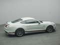 Ford Mustang Mach 1 V8 460PS Aut./Klimaaut./MagneRide Gris - thumbnail 46