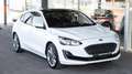 Ford Focus Vignale*PANO*KAM*HEAD-UP Weiß - thumbnail 41