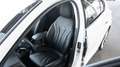 Ford Focus Vignale*PANO*KAM*HEAD-UP Weiß - thumbnail 9