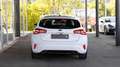 Ford Focus Vignale*PANO*KAM*HEAD-UP Weiß - thumbnail 5