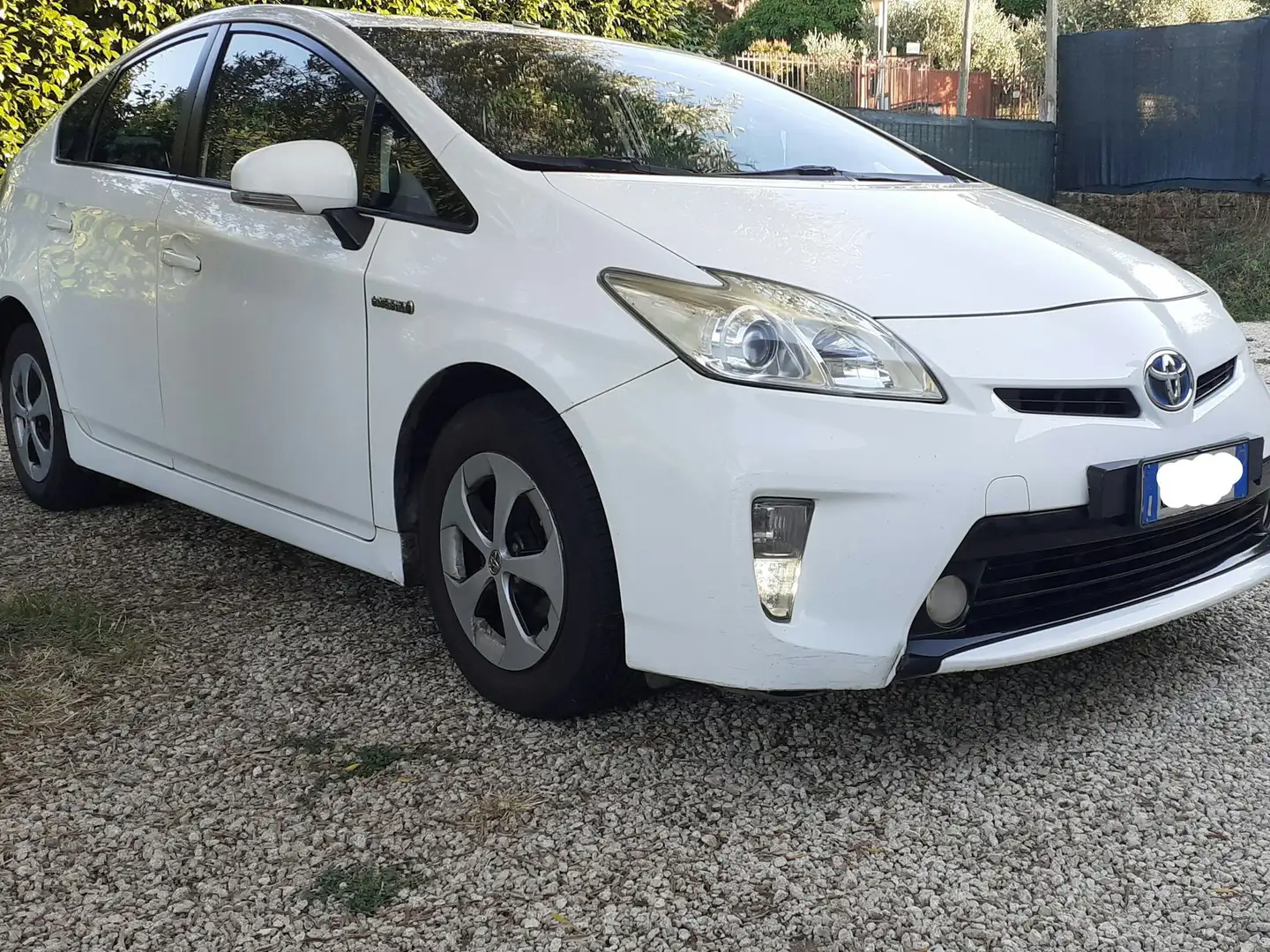 Toyota Prius Toyota prius hybrid Bianco - 1