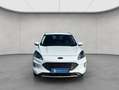 Ford Kuga 2.5 Duratec PHEV TITANIUM Weiß - thumbnail 7