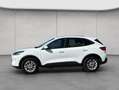 Ford Kuga 2.5 Duratec PHEV TITANIUM Weiß - thumbnail 2