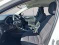 Ford Kuga 2.5 Duratec PHEV TITANIUM Weiß - thumbnail 8