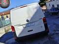 Volkswagen T6.1 Transporter 2.0 TDI 150CV 4Motion-Book Serv. Blanco - thumbnail 6