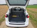 Ford C-Max C-MAX Easy 1,0 EcoBoost Easy Weiß - thumbnail 4