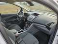 Ford C-Max C-MAX Easy 1,0 EcoBoost Easy Weiß - thumbnail 7