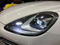 Porsche Cayenne Aut. Blanco - thumbnail 37