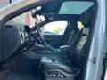 Porsche Cayenne Aut. Blanco - thumbnail 13