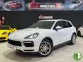 Porsche Cayenne Aut. Blanco - thumbnail 1