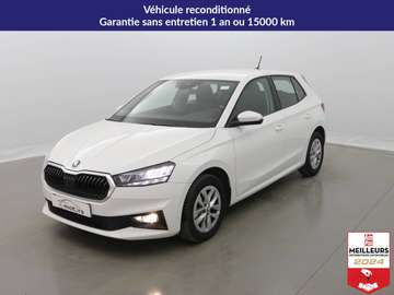 TSI 110 DSG7 Ambition