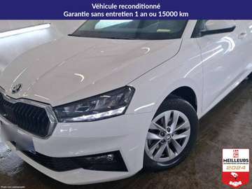 TSI 110 DSG7 Ambition