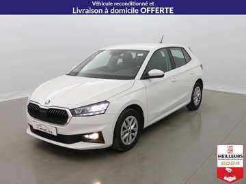 TSI 110 DSG7 Ambition