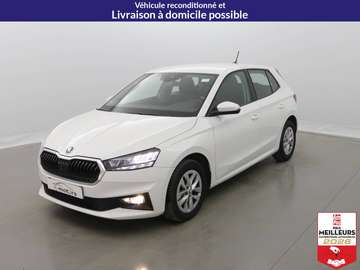 TSI 110 DSG7 Ambition