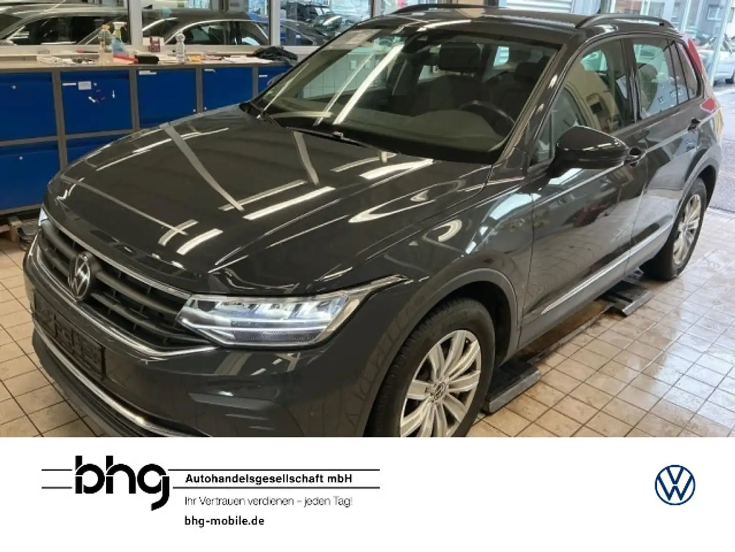 Volkswagen Tiguan 1,5 Life Kamera Sitzheizung Grau - 1