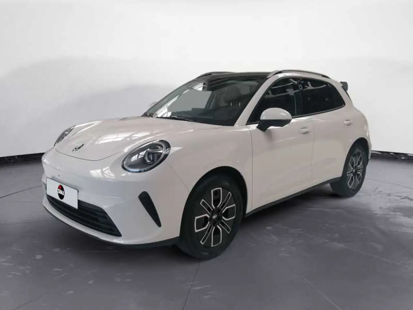 Great Wall Sonstige 1.5 TURBO PREMIUM Weiß - 1