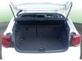 Volkswagen Polo 1.0 TSI Advance 70kW Weiß - thumbnail 16