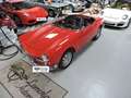 Alfa Romeo Giulietta SPIDER 1300 VELOCE Rood - thumbnail 9
