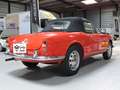 Alfa Romeo Giulietta SPIDER 1300 VELOCE Rood - thumbnail 3