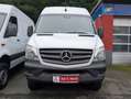 Mercedes-Benz Sprinter Kasten 316 CDI 4X4 2018 L2H2 NAVI AHK Weiß - thumbnail 14