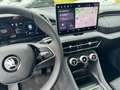 Skoda Kodiaq 2.0 TDI 4x4 Selection Navi+AHK+Canton Gri - thumbnail 15
