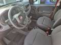 Fiat Panda 1.0 GSE Hybrid 51kW (70PS) Rojo - thumbnail 6
