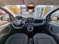 Fiat Panda 1.0 GSE Hybrid 51kW (70PS) Rojo - thumbnail 12