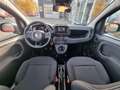 Fiat Panda 1.0 GSE Hybrid 51kW (70PS) Rojo - thumbnail 11