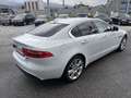 Jaguar XE 20d Pure AWD Aut.*PDC*Sitzheiz.*Xenon*Pickerl 0... Weiß - thumbnail 6