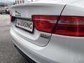 Jaguar XE 20d Pure AWD Aut.*PDC*Sitzheiz.*Xenon*Pickerl 0... Weiß - thumbnail 7