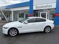 Jaguar XE 20d Pure AWD Aut.*PDC*Sitzheiz.*Xenon*Pickerl 0... Weiß - thumbnail 2