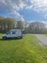 Renault Trafic Trafic undefined Wit - thumbnail 2