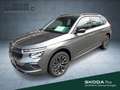Skoda Kamiq 1.0 TSI DSG Selection AHK Navi LED ACC SHZ Grau - thumbnail 1
