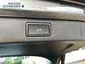 Skoda Kamiq 1.0 TSI DSG Selection AHK Navi LED ACC SHZ Grau - thumbnail 12